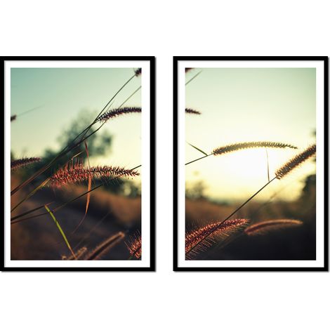 BILDPOSTER IM RAHMEN 53x73cm Diptychon 2er-Set Gemälde Gräser Boho P2176 (1/3)