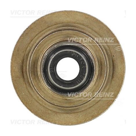 Bague d'étanchéité, tige de soupape Victor Reinz 70-31056-00 FORD 6 674 302