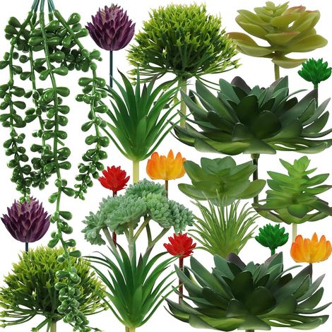 20 Pièces Plantes succulentes artificielles colorées Plantes succulentes Décoration pour fête, Mariage et Domicile (sans Pots) (1/5)