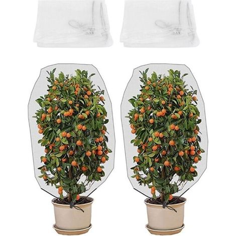 2 Reti barriera anti-insetti per frutta, piante e alberi – Protezione per serre e giardini (1/5)