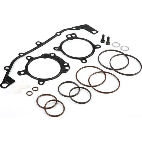 Kit de réparation de joint torique pour BMW Dual Vanos, pour E36 E39 E46 E53 (1/5)