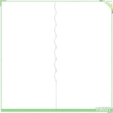 Support de plantes en spirale - FAFEICY - 142415 - Acier galvanisé - 170 cm - Pack 5 pièces (1/5)