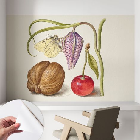 Papier peint autocollant adhésif décoratif avec motifs pour salon et chambre a motif Papillon et plantes 104x70 cm (1/5)