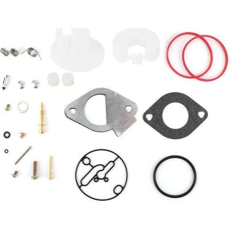 Kit di riparazione carburatore per Briggs & Stratton 796184 796081 790727 Master Overhaul Nikki (1/5)