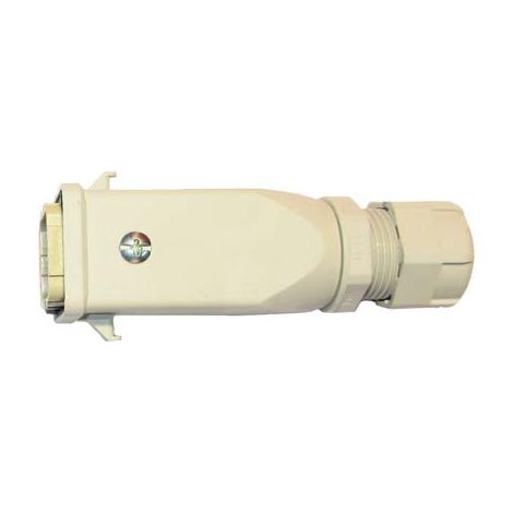 SPINA COGLIOLIVE OLIVGREEN A3 MINELLI  MEOGI230