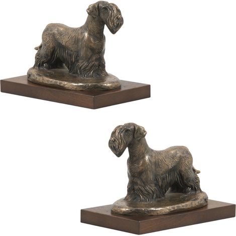 Terrier checo, Cesky Terrier: estatuilla de perro, figura de oficina, trofeo para una exposición canina de Art-Dog. (1/5)