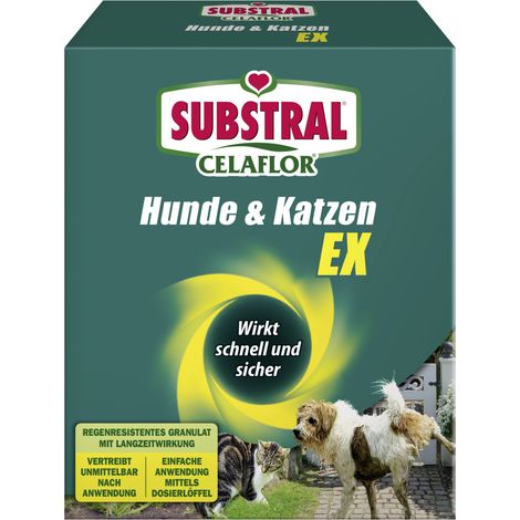 Substral Celaflor Hunde & Katzen Ex 200 g Schädlingsbekämpfung (1/2)