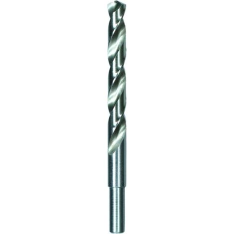 Trade Shop - Punta De Perforación En Espiral Para Madera 16mm 91 Carpintero Agujero Carpintería Taladro -