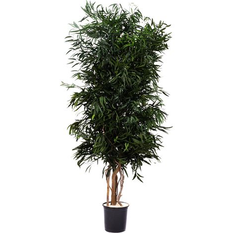 Albero Nicoly stabilizzato H 180 cm pianta vera senza manutenzione (1/2)