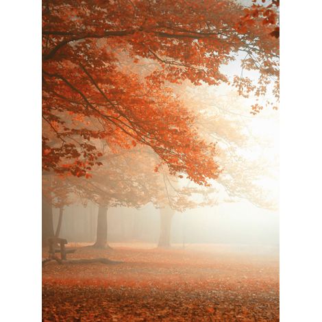 Papier peint panoramique arbre orange | Tapisserie panoramique forêt d'automne pour couloir | Papier peint panoramique nature pour chambre - 192 X 260 cm (4 pièces) (1/2)