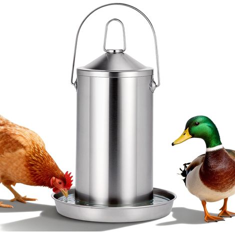 Abreuvoir pour Poulets en Acier Inoxydable 304 de 4 litres, Distributeur d'eau Automatique à gravité pour volaille, Abreuvoir à Suspendre ou à Poser pour Poulets, Canards, Pigeons et oies (1/5)