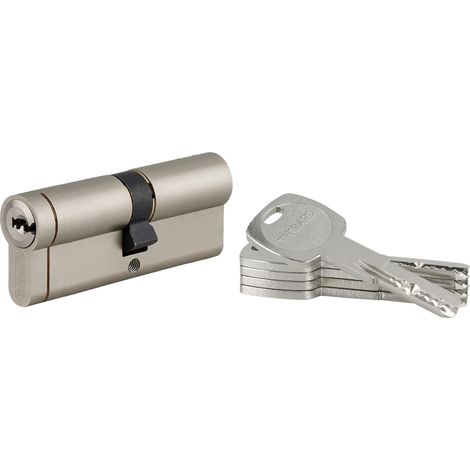 Cylindre de Serrure 40x45mm TRANSIT 1 - Système de Sécurité Finition Nickel - Usage Porte d'Entrée - Livré avec 4 Clés Plates Réversibles (1/5)