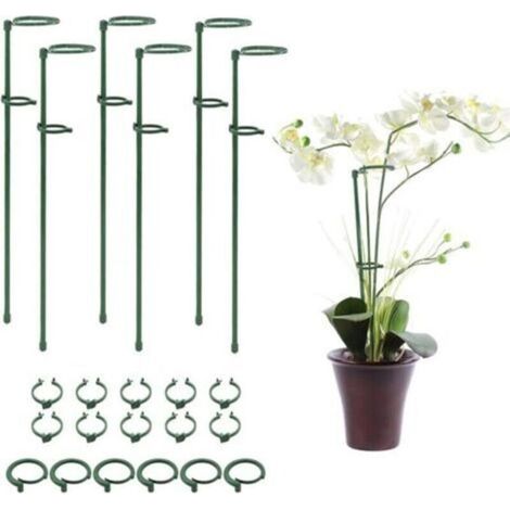 6 PCS Anneaux de Piquet de Cage à Plantes avec Boucle de Fixation pour Plantes Fleurs Orchidées Pivoines Roses, Piquet de Support de Plante Piquet de Jardin Bâton de Plante Piquet de Fleur à Tige Uniq (1/4)