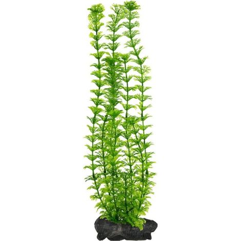 Tetra Pianta Decorativa in Plastica Modello Ambulia (Limnophila Heterophylla) L (1/2)