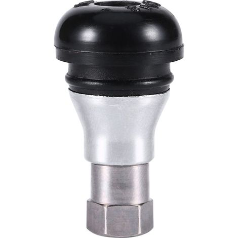 TR412 Valve de Pneu en Laiton Chromé pour Voitures et Motos - Sans Chambre (1/5)
