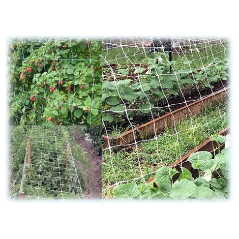 Filet de jardin en plastique H153 cm, 1000 m de maille 140×170 – Brixo Ortonet