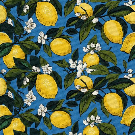 Tela decorativa para exteriores Oxford - Motivo frutal  DX6680 (1/5)