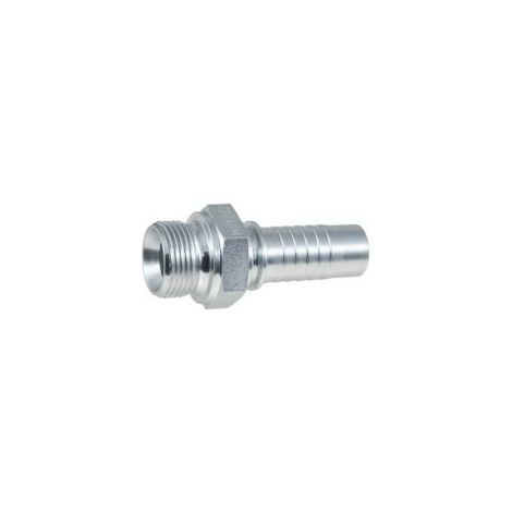 Extremo BSP de 1/2" AGR DN06 (1/3)