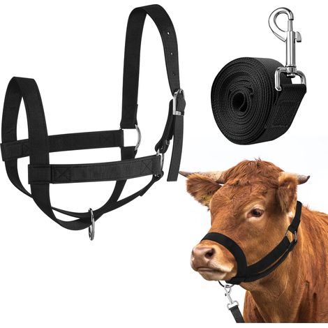 1 Licol,Corde de plomb,Nylon,Réglable,Menton et gorge,Cheval,Âne,Chèvre,Poulain.