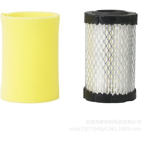 Filtre pour tondeuse à gazon  BRIGGS & STRATTON 796031  Pièces détachées Briggs & Stratton