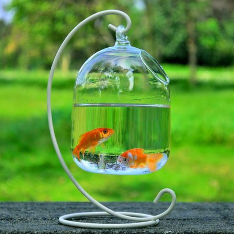 Aquarium "Fish Tank" + Verre Artisanal + Cristal Transparent + Design Épuré