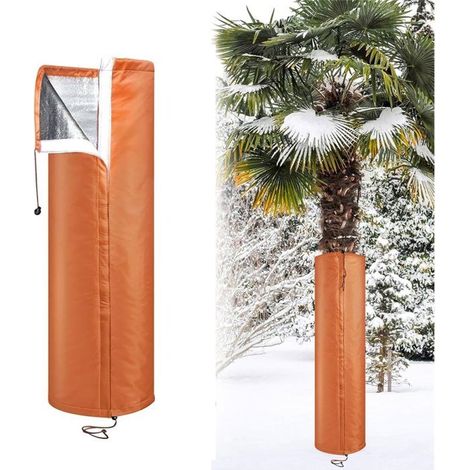 Protection hivernale des racines de palmiers : bande adhésive isolante pour tronc contre le froid (1/5)