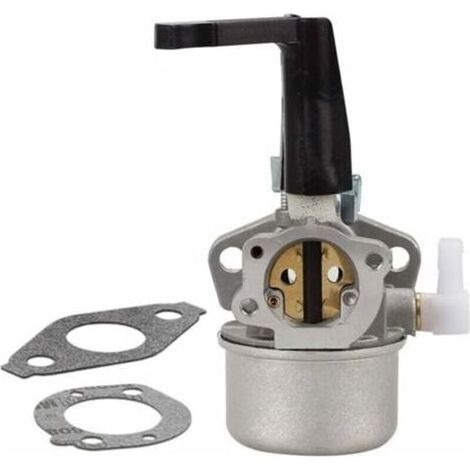 Kit de carburateur pour motoculteur Briggs Stratton 696065 - Pièces de rechange avec joint en métal (1/3)