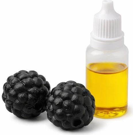 Set d'entraînement truffe pour chiens - 2 truffes fausses noires + huile truffe - Kit complet Nose Work - Truffe d'entraînement réutilisable en plastique - Ø 36 × 37 mm