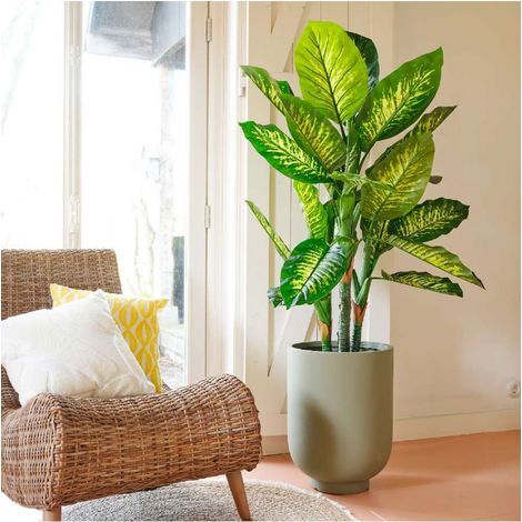 Pianta artificiale Dieffenbachia in vaso