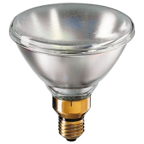 Philips 380739 120W PAR38 SP 10° 24V E27 Outdoor Light Bulb (1/2)