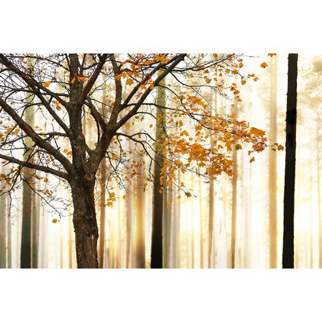 Papier peint panoramique forêt beige et noir | Tapisserie panoramique automne pour chambre | Papier peint panoramique arbre - 267 x 400 cm (4 pièces) (1/2)