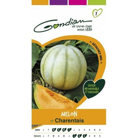Gondian - Melon Charentais