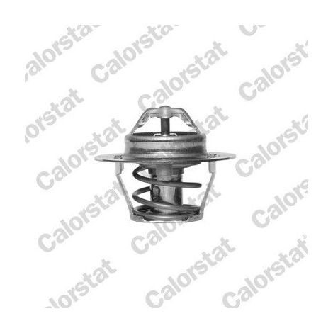Thermostat, liquide de refroidissement CALORSTAT by Vernet TH5977.88J FORD