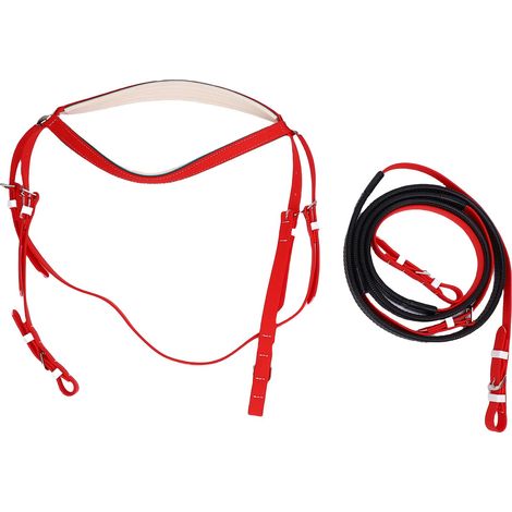 Licol de cheval en PVC, cuir PU, bride en nylon avec rêne pour fournitures d'équipement (1/5)