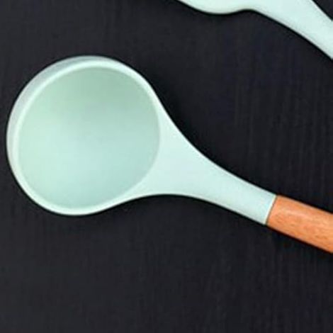 Louche Silicone Anti-Rayures, Manche Bois Vert 230°C (1/3)