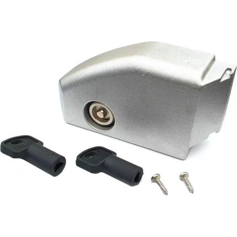 CAME 119RIBX008 Sportello Accesso Sblocco Chiave Per Motore Bx Ricambio
