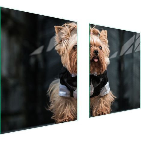 GLASSCHUTZPLATTE FÜR HERD 85x52 HUND (1/5)