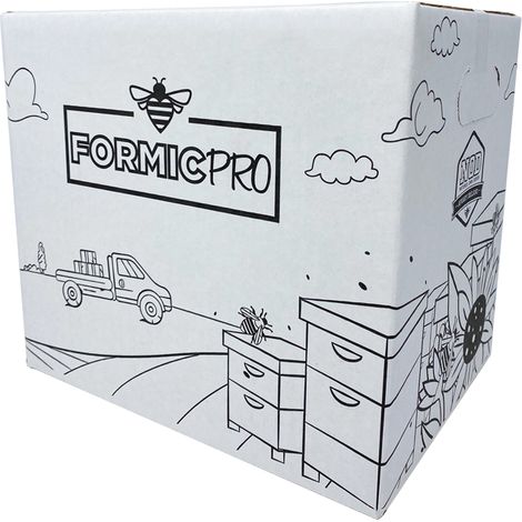 FORMICPRO ANTIVARROA 10 BUSTE