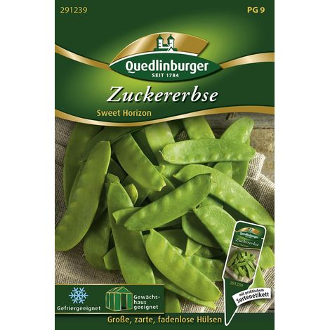 Quedlinburger Saatgut – Pois mange-tout Sweet Horizon – Graines de légumes, type à cosse plate, hauteur 60 à 80 cm (1/2)