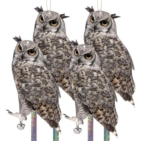 Lot de 4 Hiboux Anti-Oiseaux, Bandes Réfléchissantes, Cordes, Cloches, Jardin Balcon Terrasse (1/5)