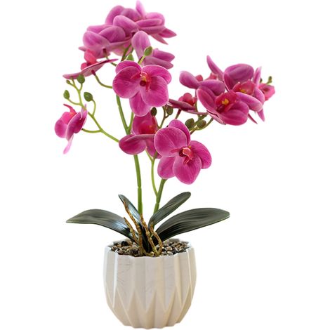 Plante Artificielle Phalaenopsis - Pot Plastique - Fleur 3D Imprimée - Décoration Intérieure Bureau Maison Café - 1 Pièce (1/5)