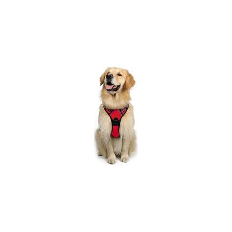 Harnais Chien Anti Traction, Arnet pour Chien Facile à Mettre Harnais Réfléchissant Réglable avec Attache Devant Arnais pour Chien Moyen, Large, (rouge,L)