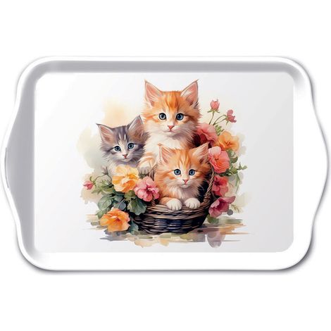 Mini plateau rectangulaire en mélamine chatons dans un panier