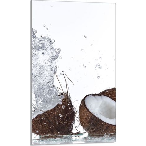 Glasschneidebrett 30x52 Kokosnuss