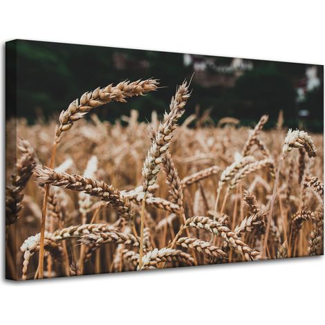 Leinwanddruck „Weizenfeld“ (80 x 50 cm) – Erntezeit
