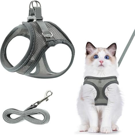 Harnais chat Réglable avec laisse chat gris (1/5)