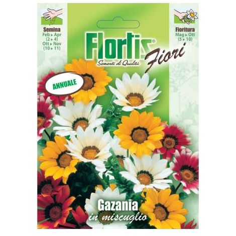Semi di Gazania Nana Compatta Mix