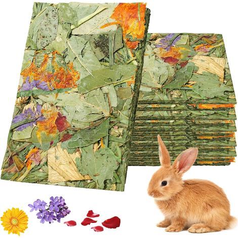 15pcs Rabbit Chew Toys Rabbit Treats Natural Hay Timothy Molar Chew Toys for Chinchilla Rabbits Guinea Pigs (1/5)