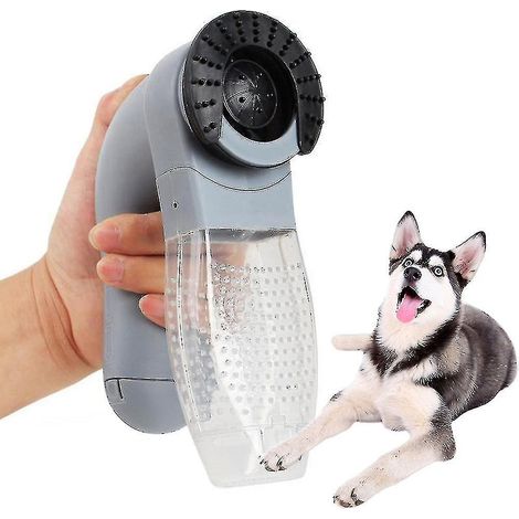 Aspirateur-masseur électrique portable et raffiné pour poils de chiens et de chats (1/5)