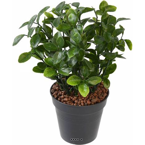 Berberis artificiel en piquet pour extérieur H 28 cm D 20 cm (1/3)